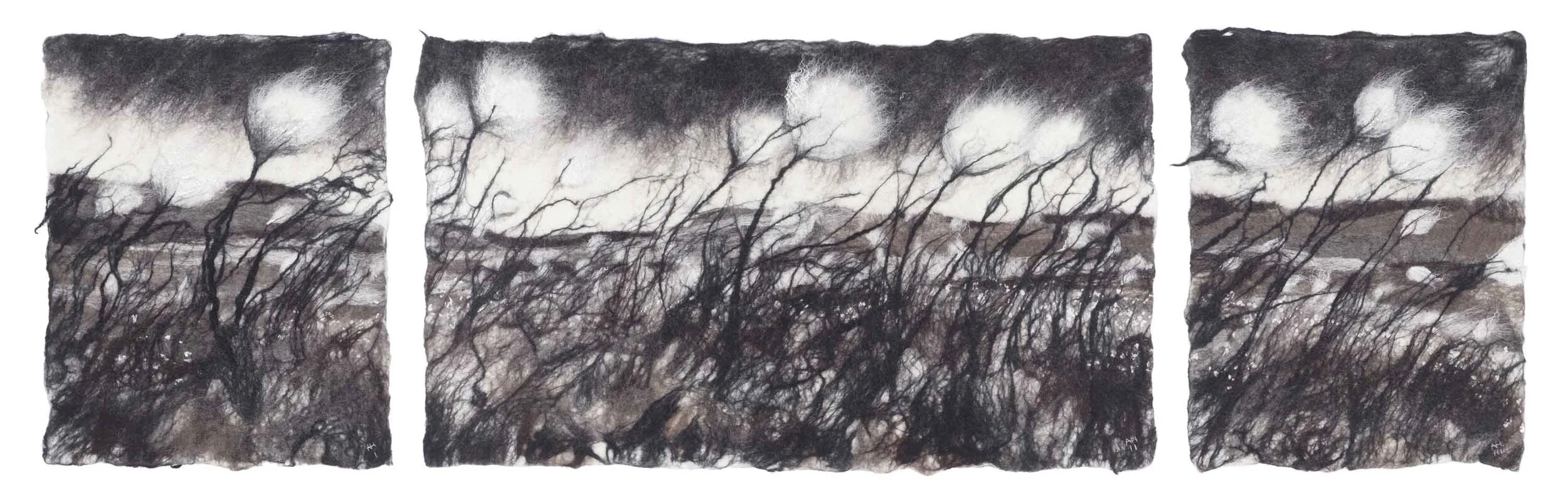 'Cotton tops' by Andrea Hunter