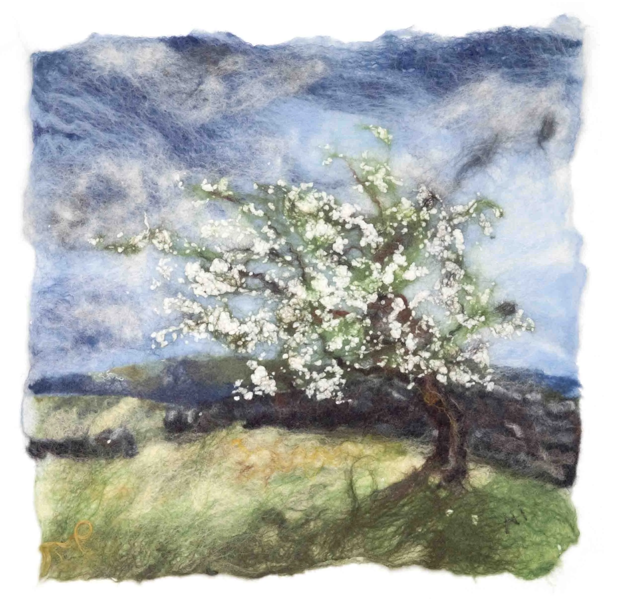 'Spring hawthorn' by Andrea Hunter