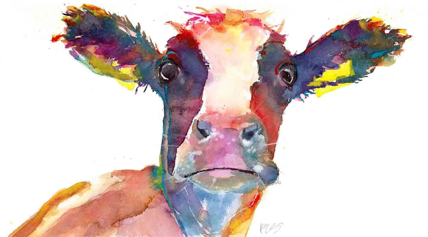 'What did I do?' by Kate Stephens