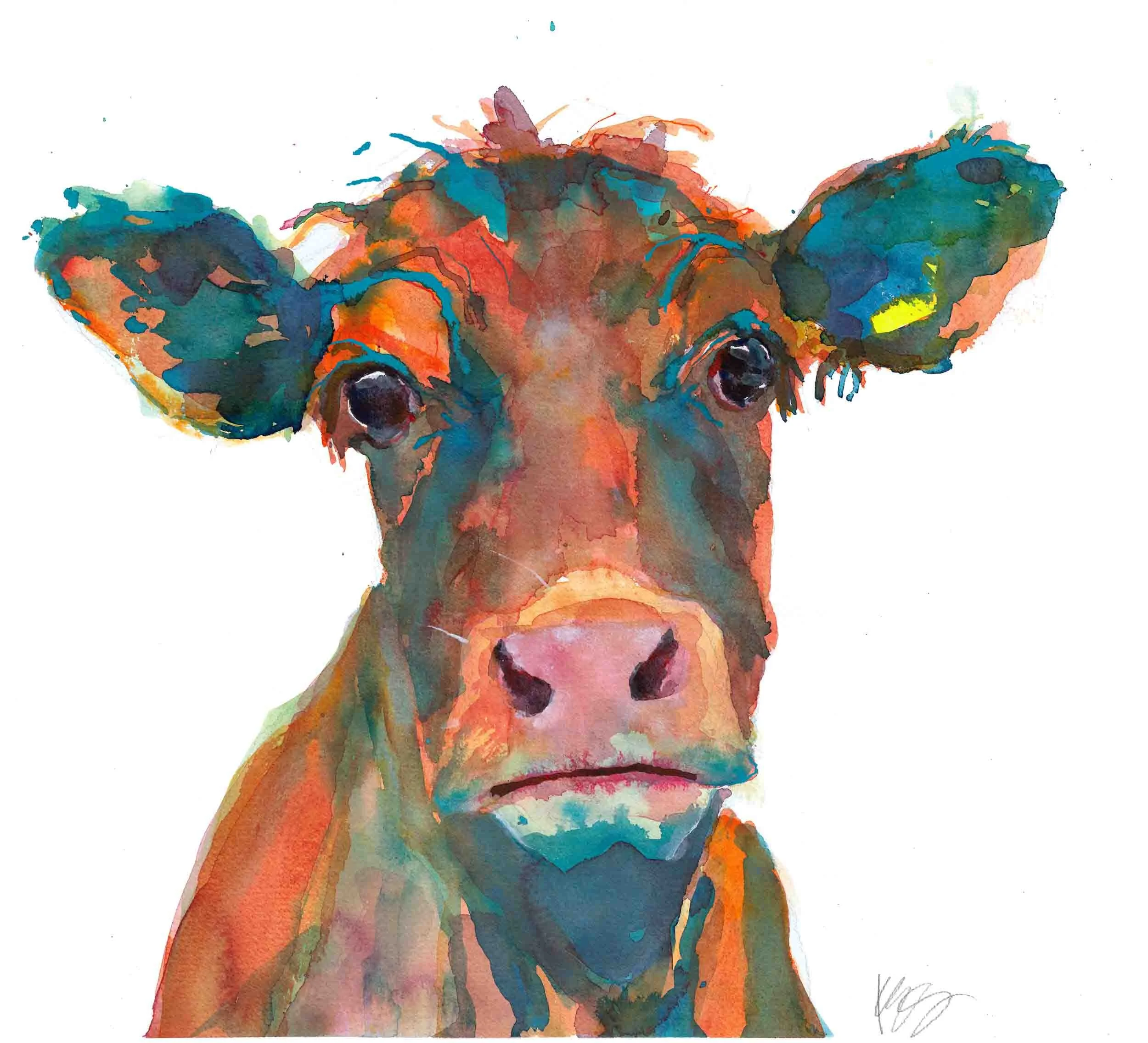 'Young heifer' by Kate Stephens