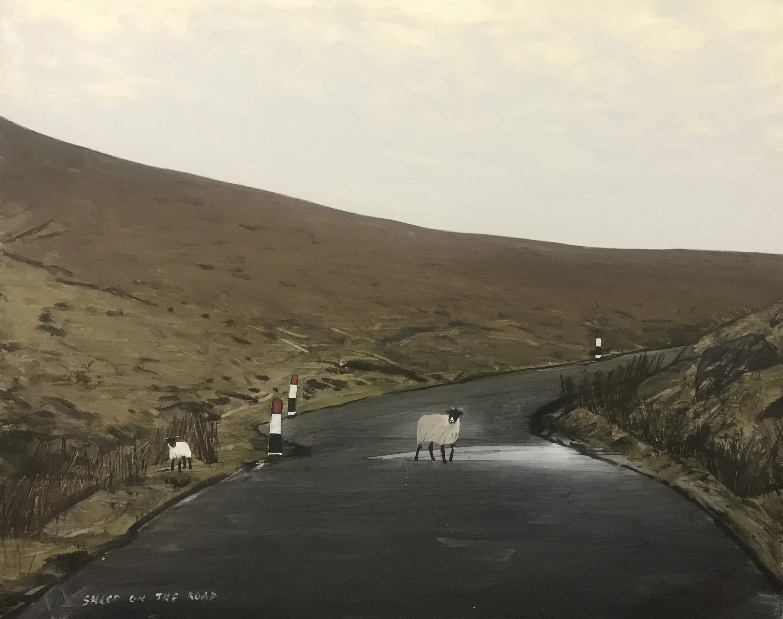 S (part 1) ... is for Sheep