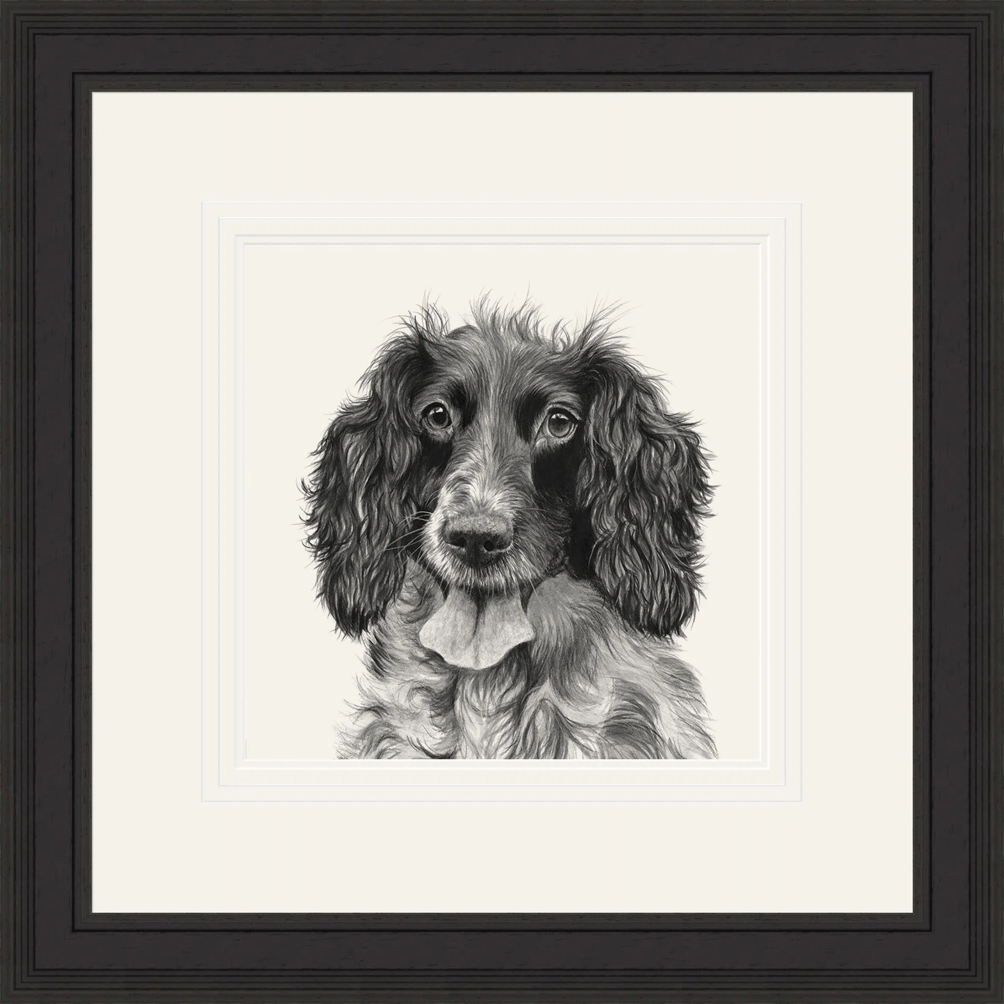 DP_SpringerSpaniel_Original copy.jpg