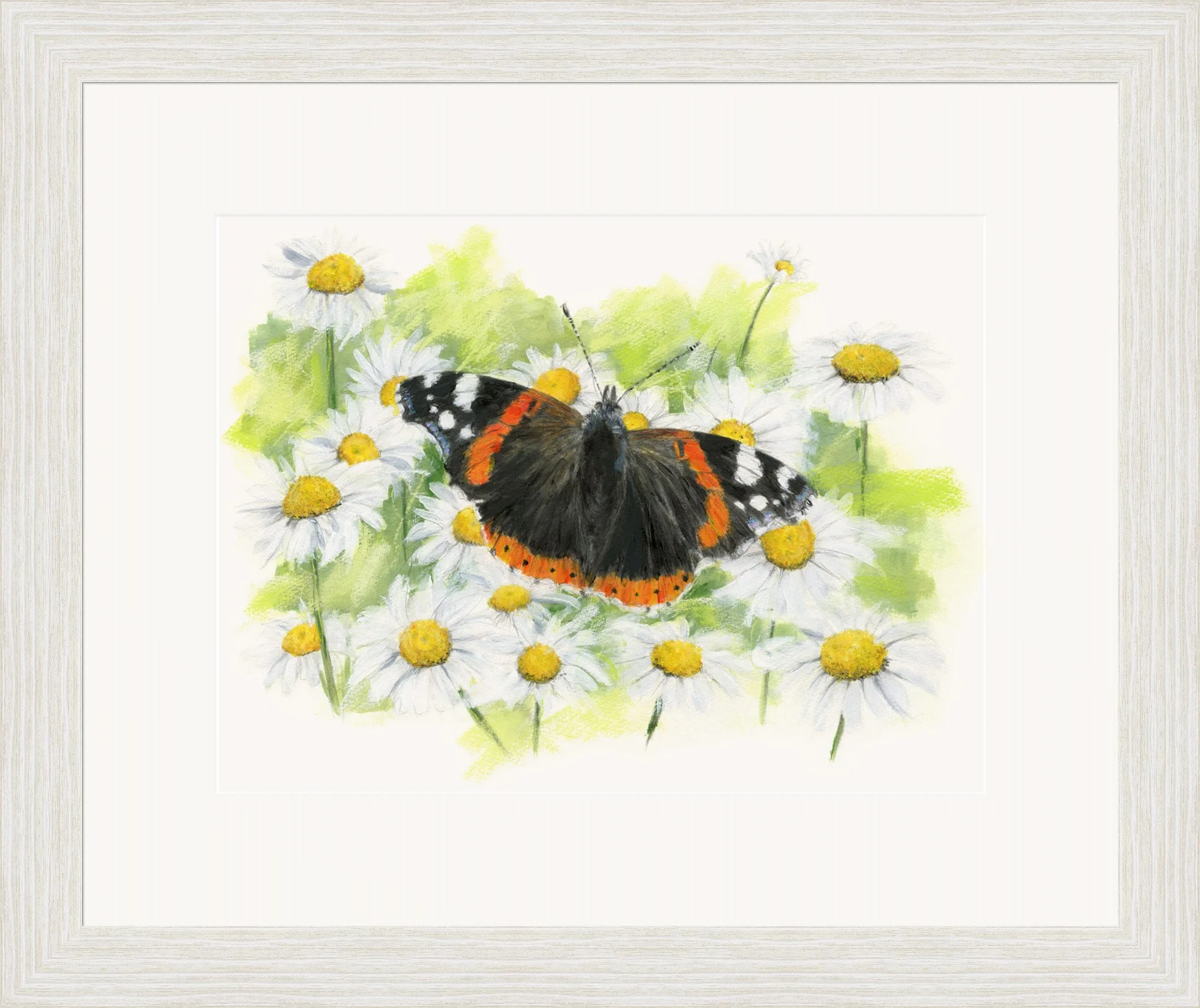 DP_RedAdmiral_Original.jpg
