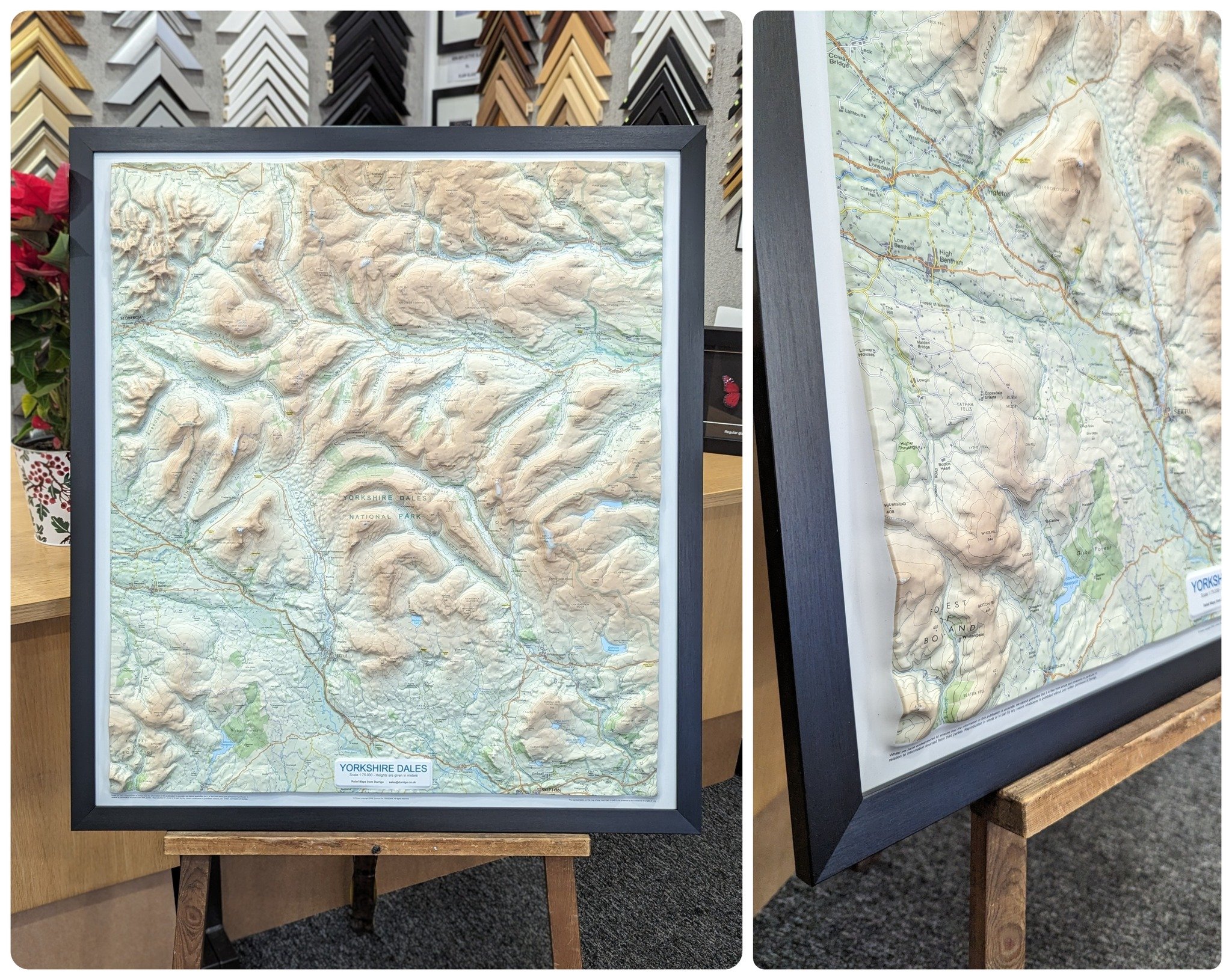 Bespoke framing of a 3D relief map of the Yorkshire Dales
🤎💚⛰️

#bespokepictureframing #framingserviceuk
acgallery.co.uk/picture-framing