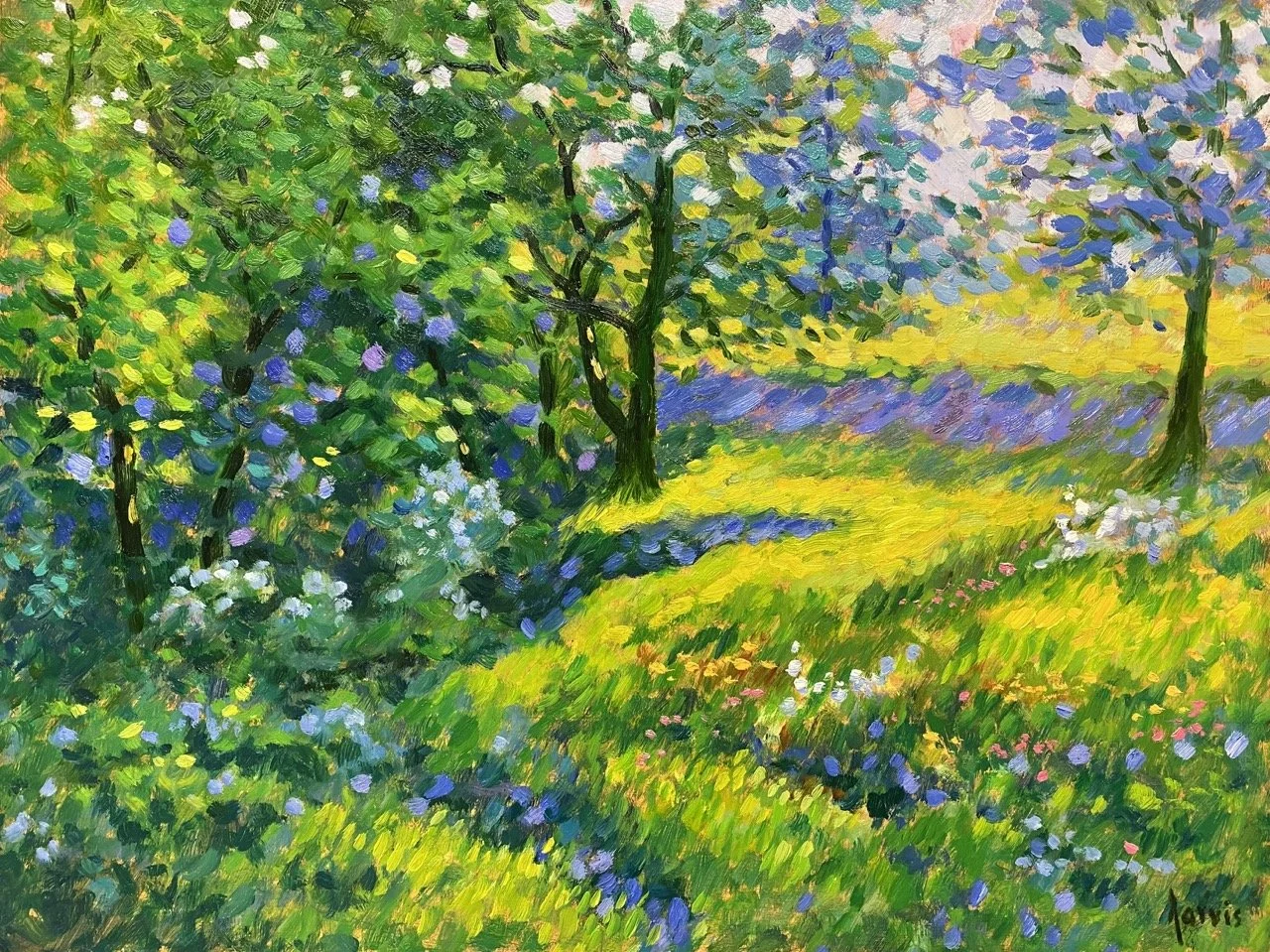 AJ The Edge Of the Forest.jpeg