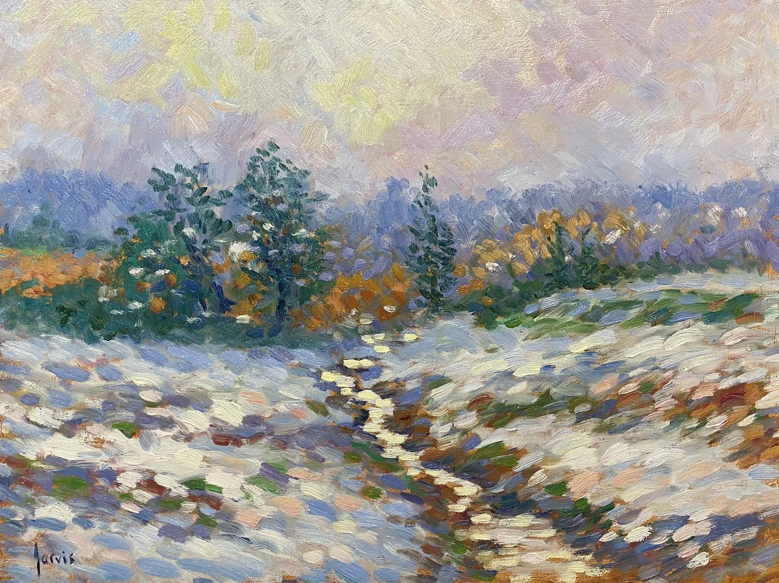 AJ_Winter thaw at Bingley North Bog.jpg