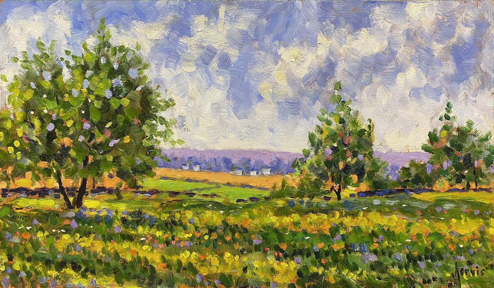 AJ Summer at Oldfield Honley.jpg