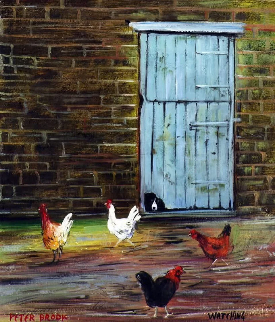 ‘Watching’ by Peter Brook RBA 🐓