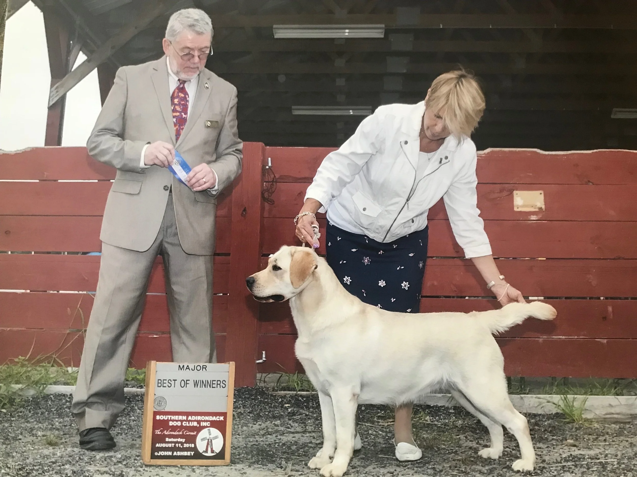 Atlantic's Once Upon A Time — Atlantic Labrador Retrievers