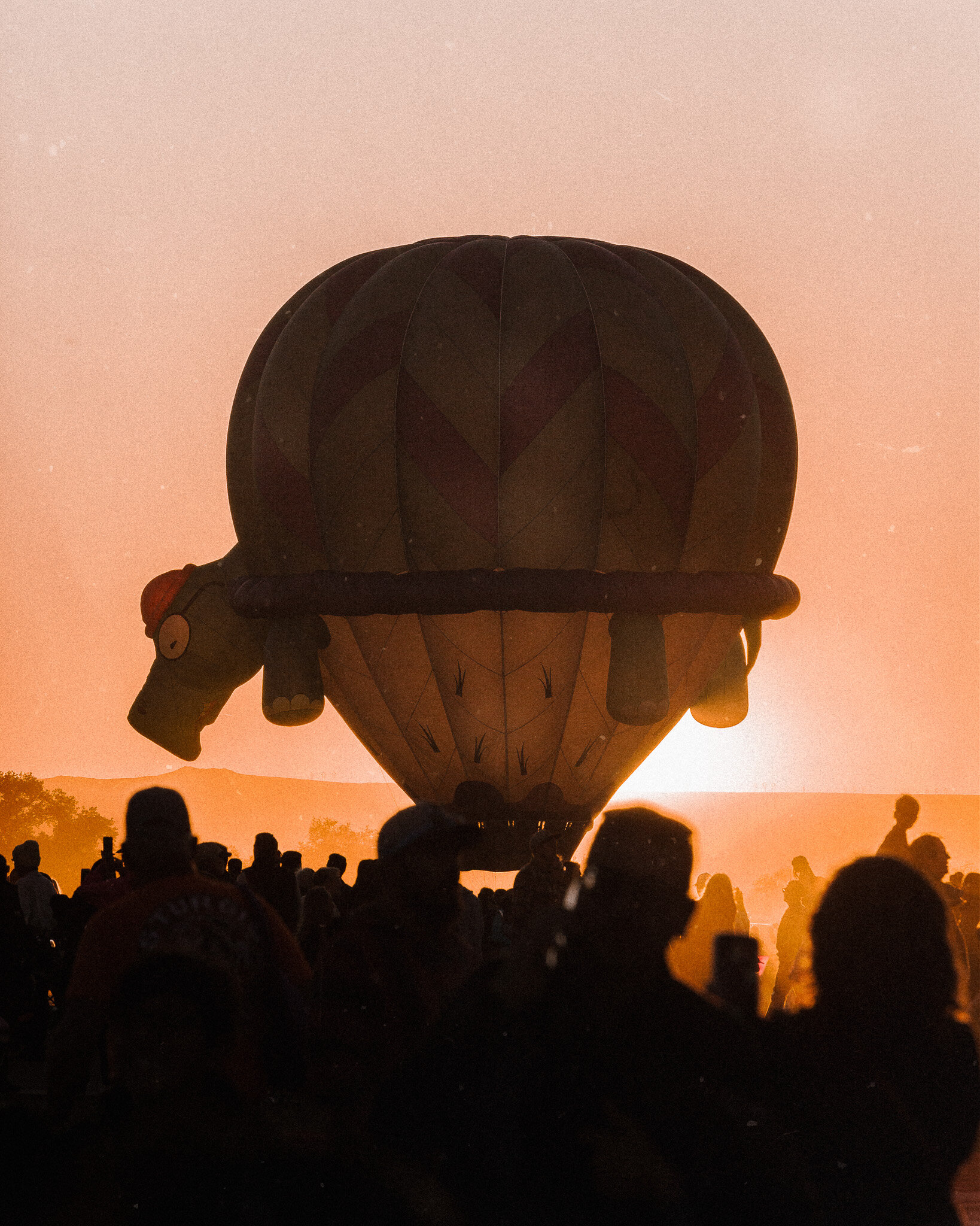 IMG_3171-Edit.jpg