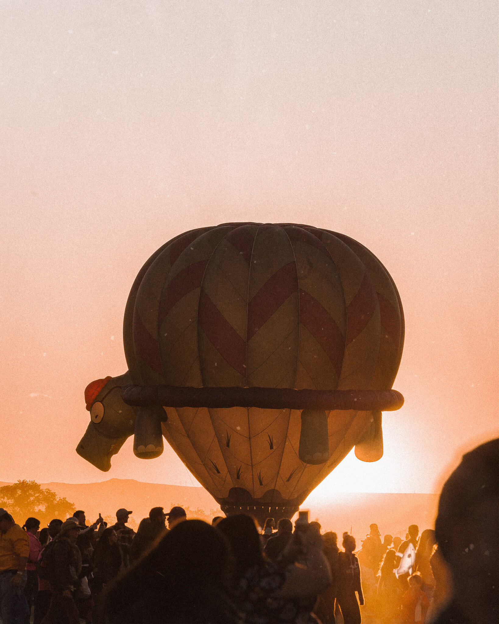 IMG_3169-Edit.jpg
