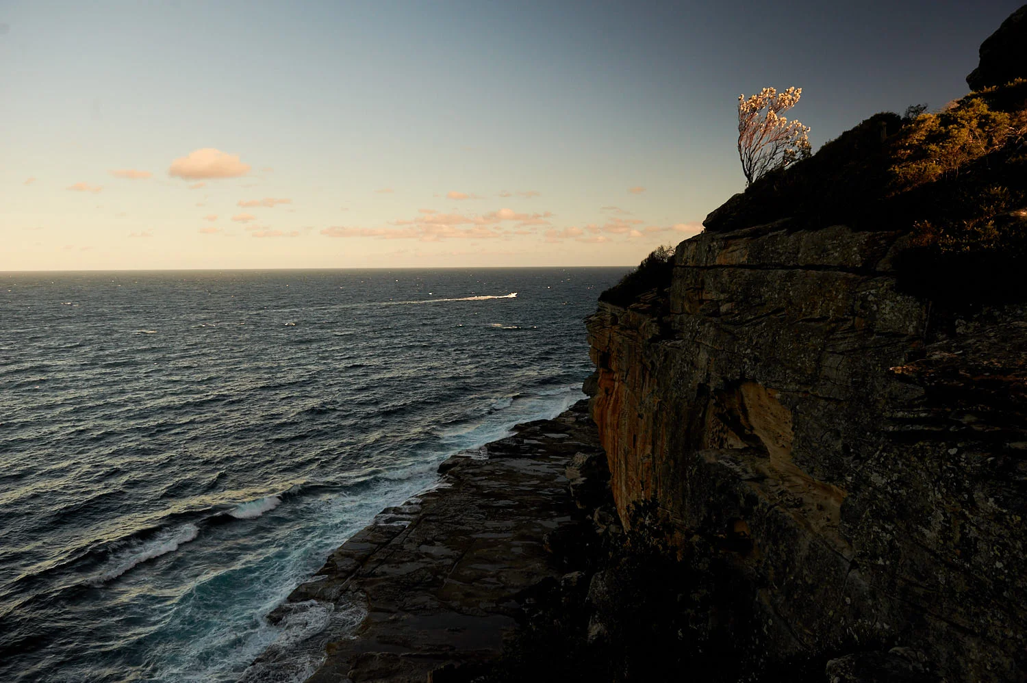 AU_ManlyBeach_0317.jpg