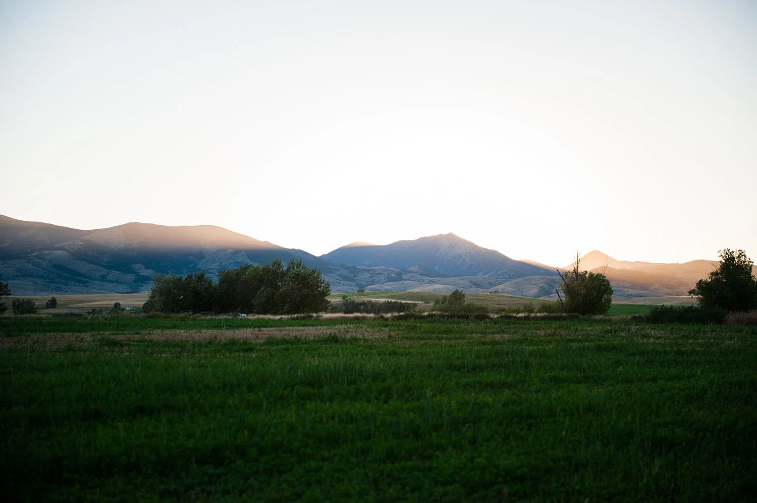 MaichelRanch_003.jpg