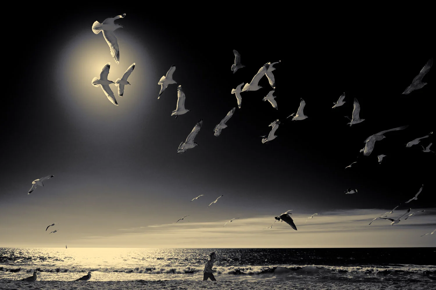 CarlsbadBeach_KW_01172017_077.jpg