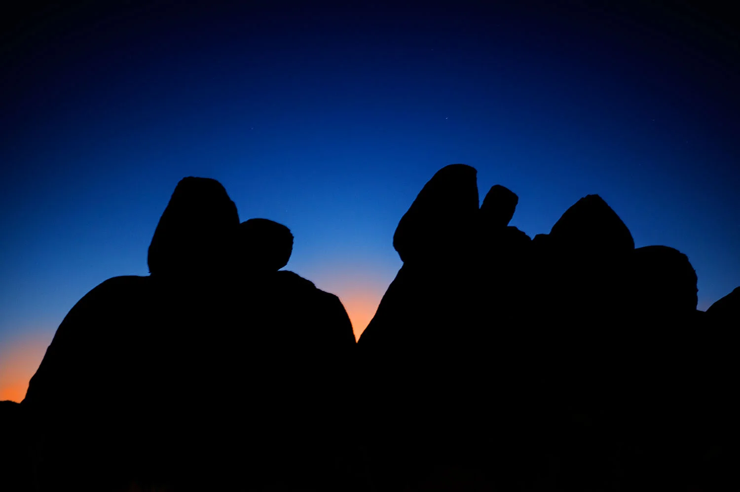 JoshuaTree_314.jpg