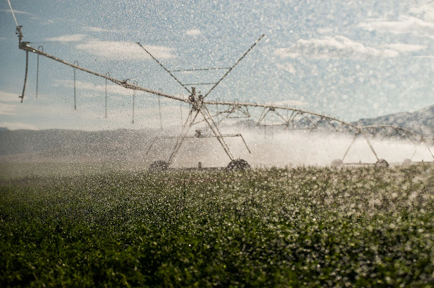 MaichelRanch_426.jpg