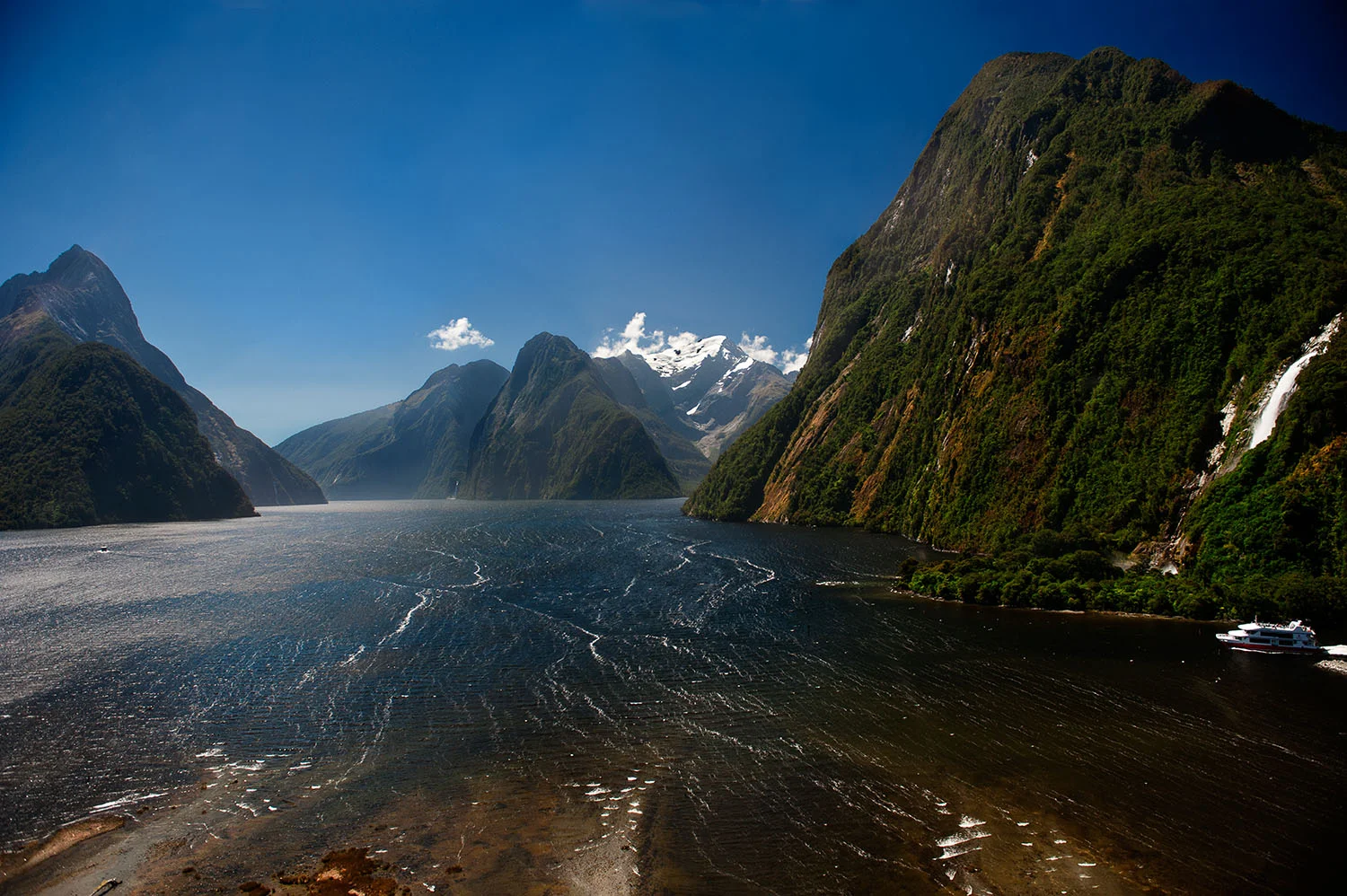 NZ_MilfordSoundTour_1258_2.jpg