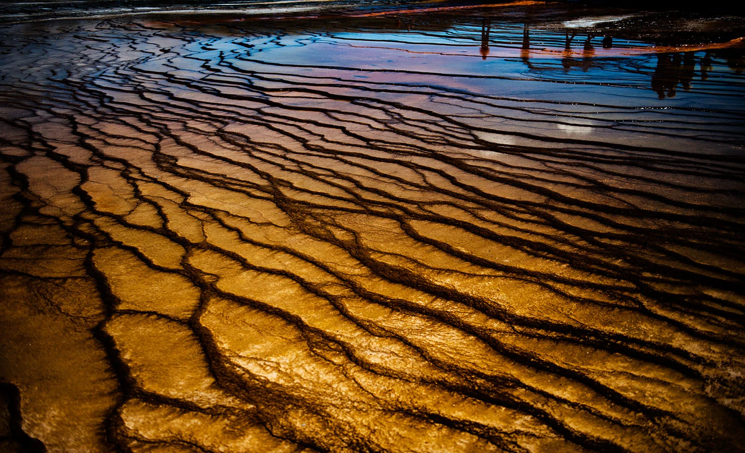 Yellowstone_567.jpg