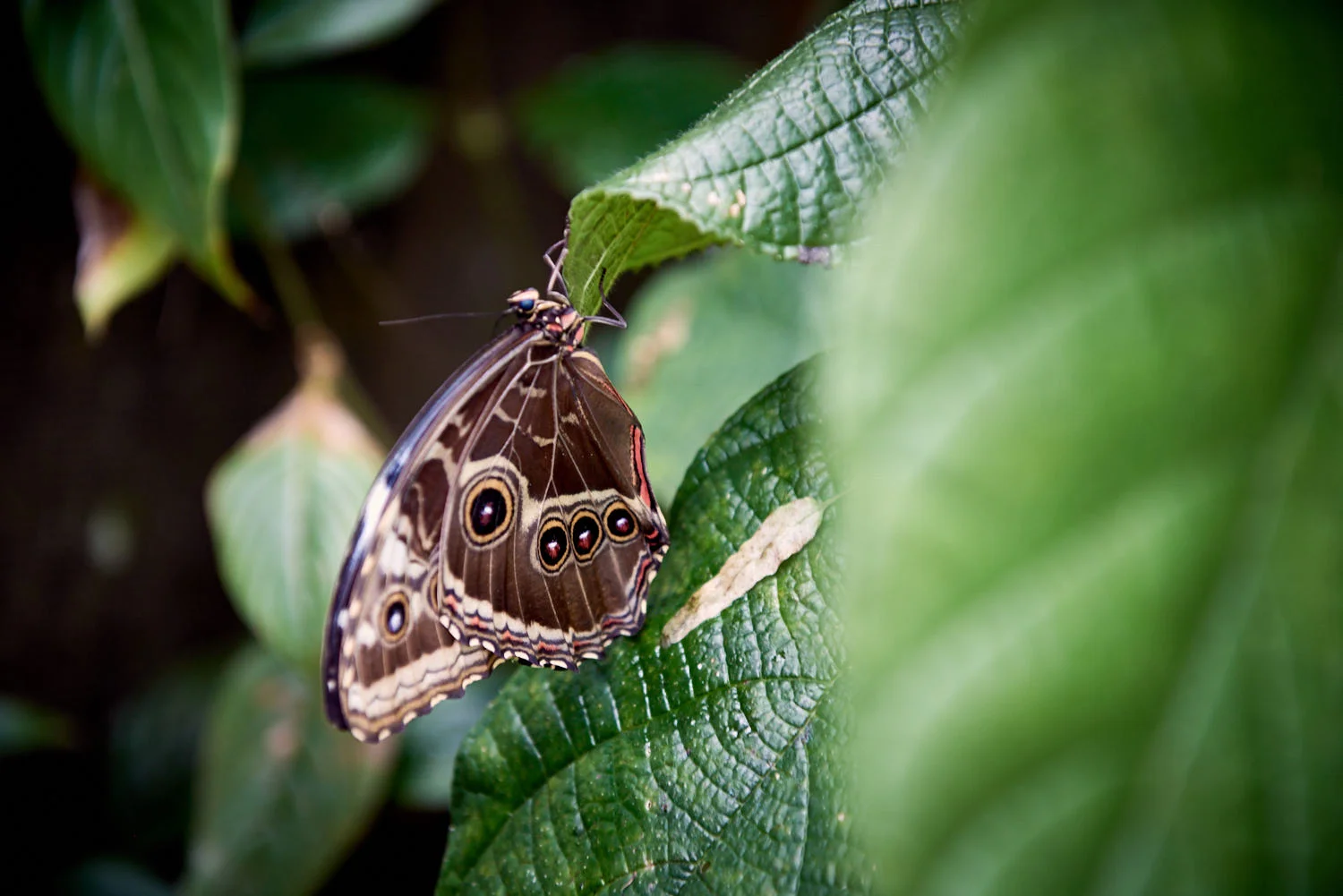 CostaRica_KW_312.jpg