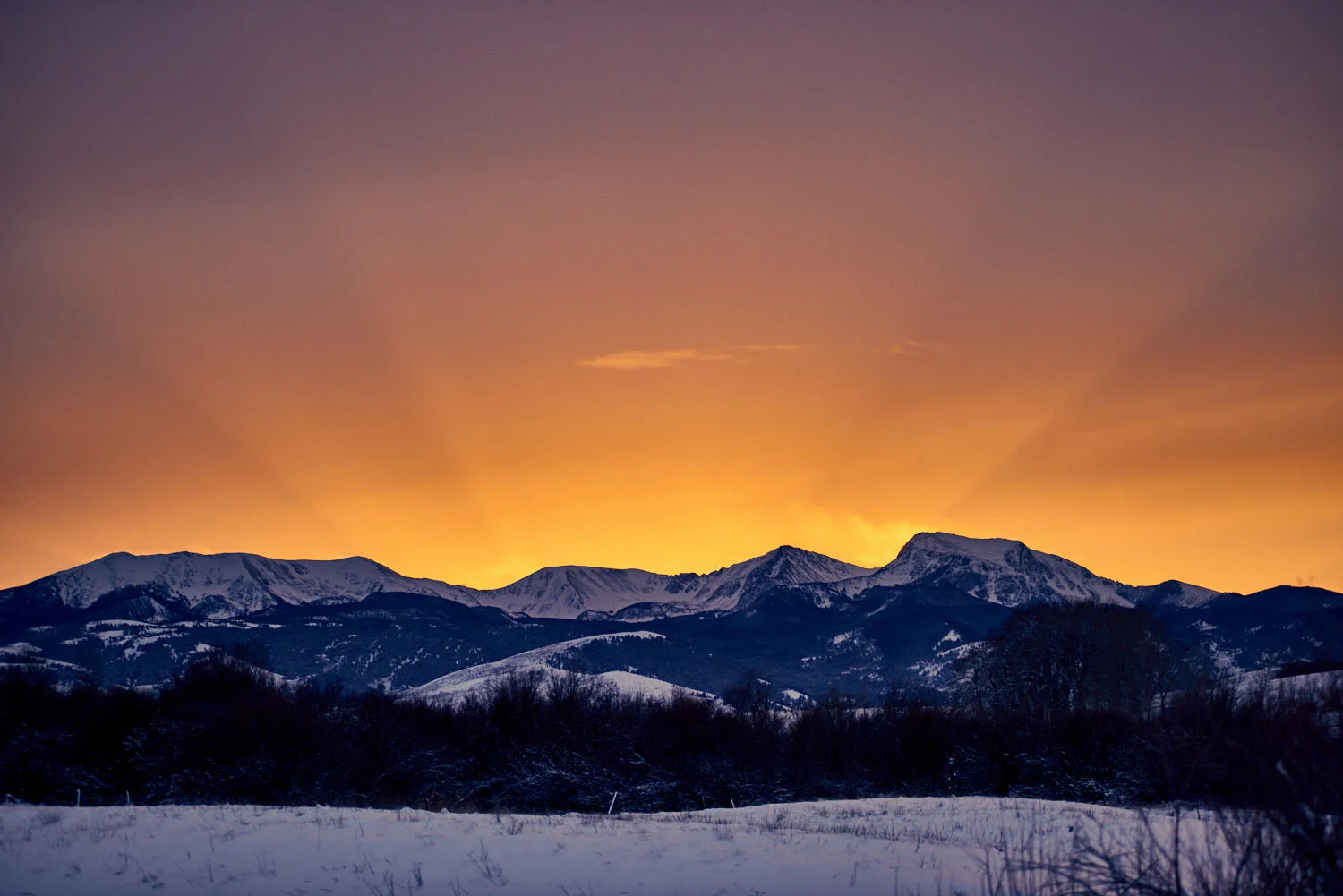 Montana2017_KW_831.jpg