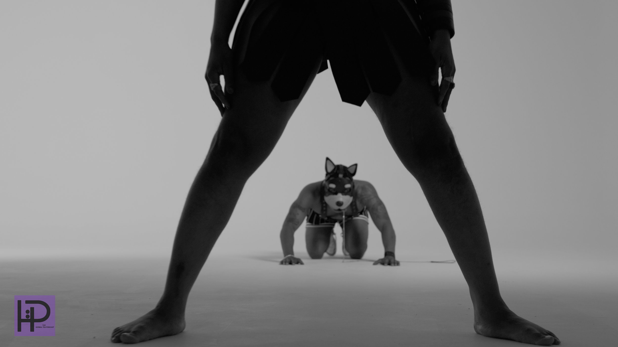 On the Gaydar Freestyle – Click to play