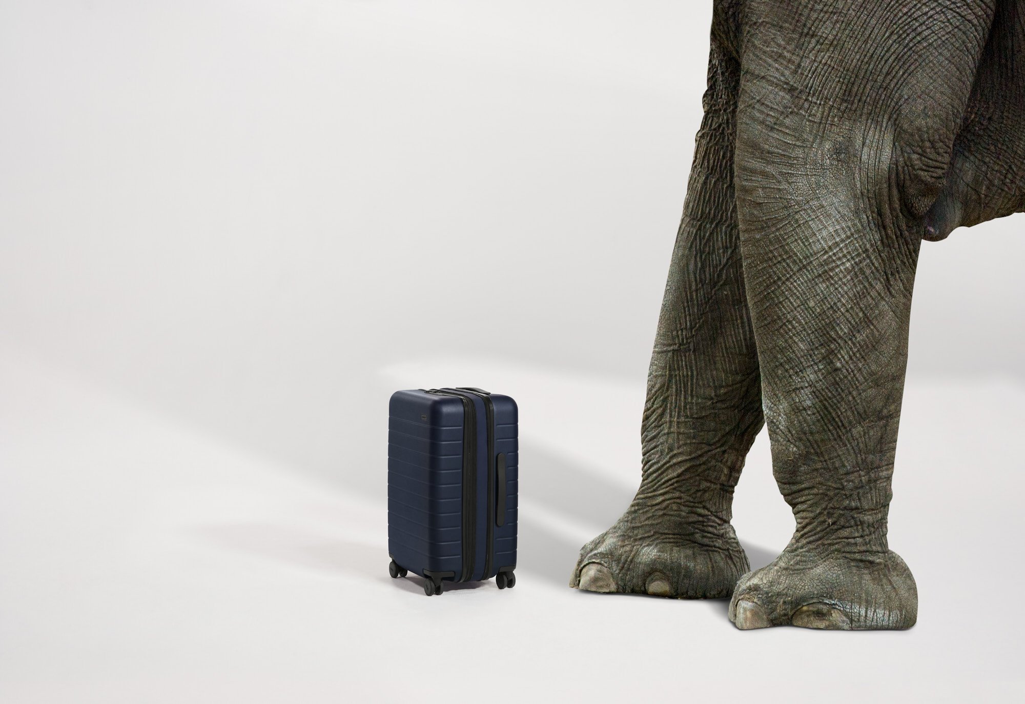 PCFlex_Elephant_COMP_v8_Web.jpg