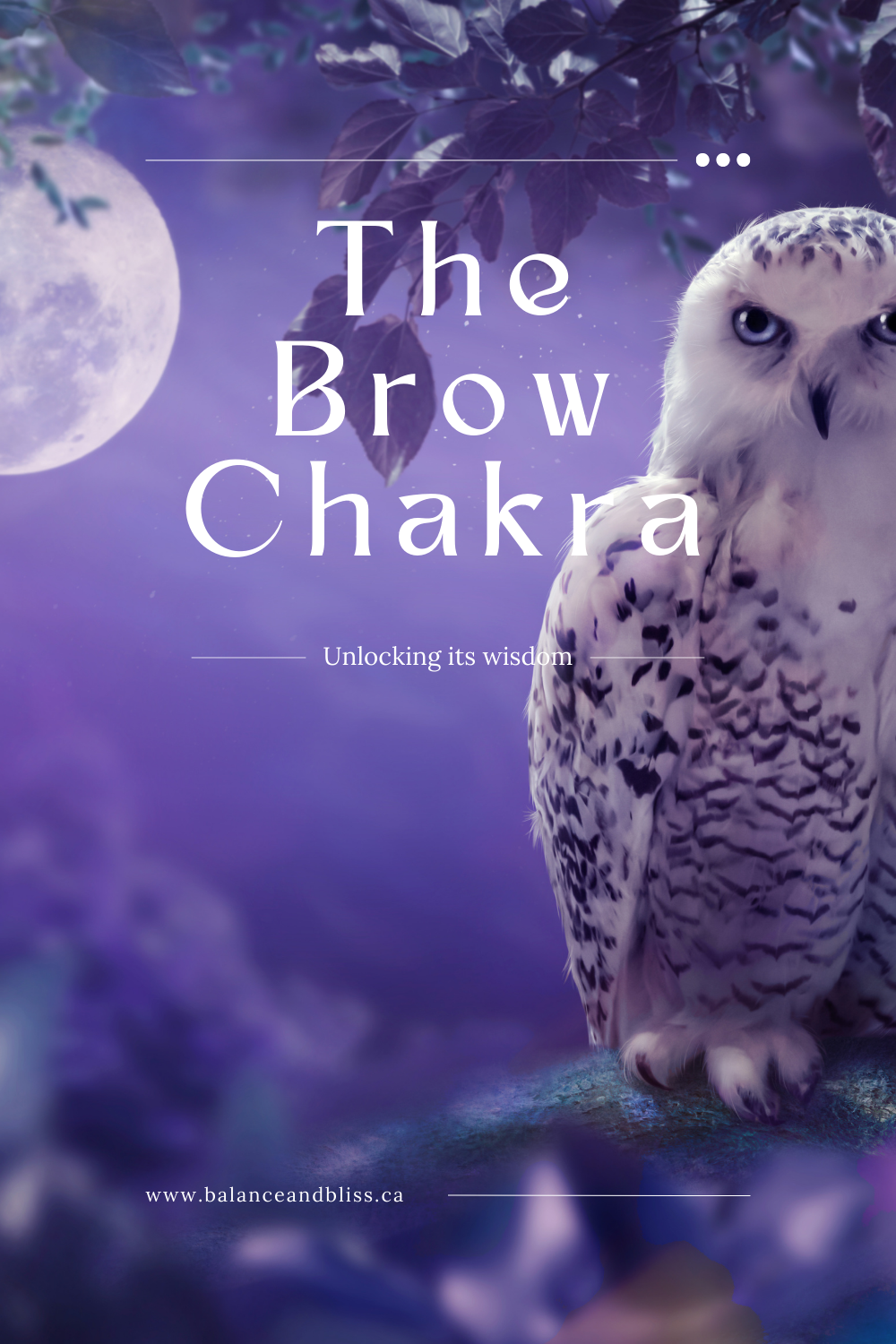 8.0 3rd eye chakra Pinterest.png