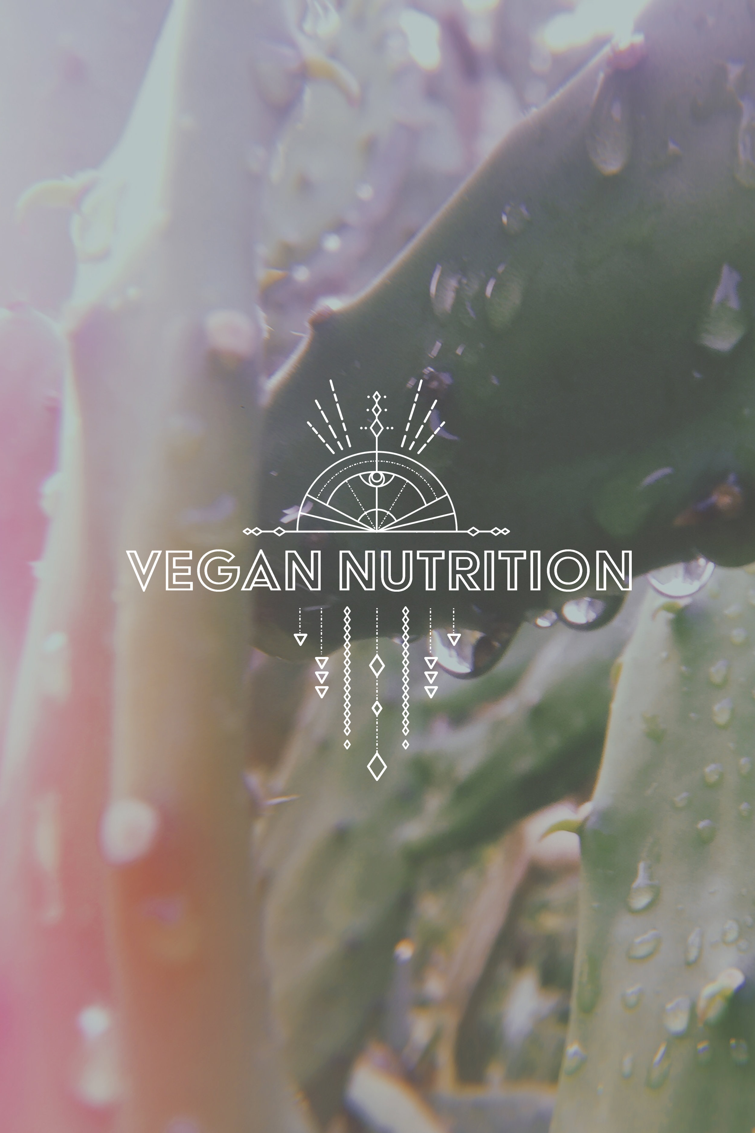 vegan buttons.jpg