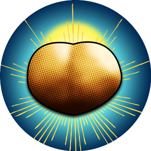 rsz_imageedit_2_5720267273.png