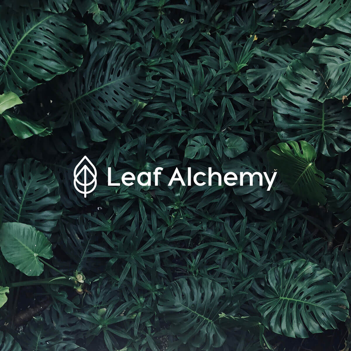 LeafAlchemy4.jpg