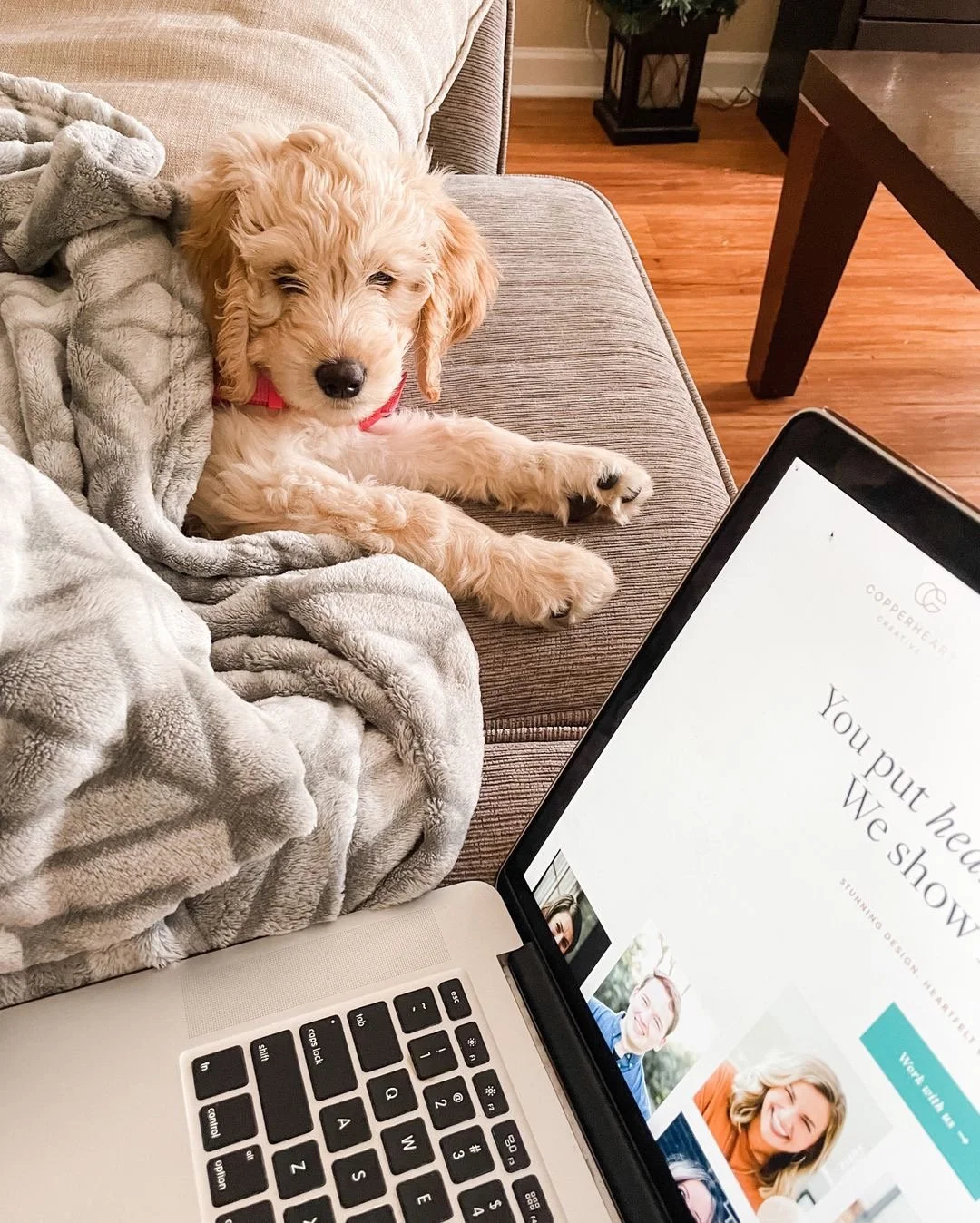 You ever try to work from home with a &ldquo;coworker&rdquo; who thinks your keyboard is a chew toy? 😂

That was my life when Lola was a puppy &mdash; she used to bite my fingers while I typed, convinced it was a game. Now she&rsquo;s turning four (