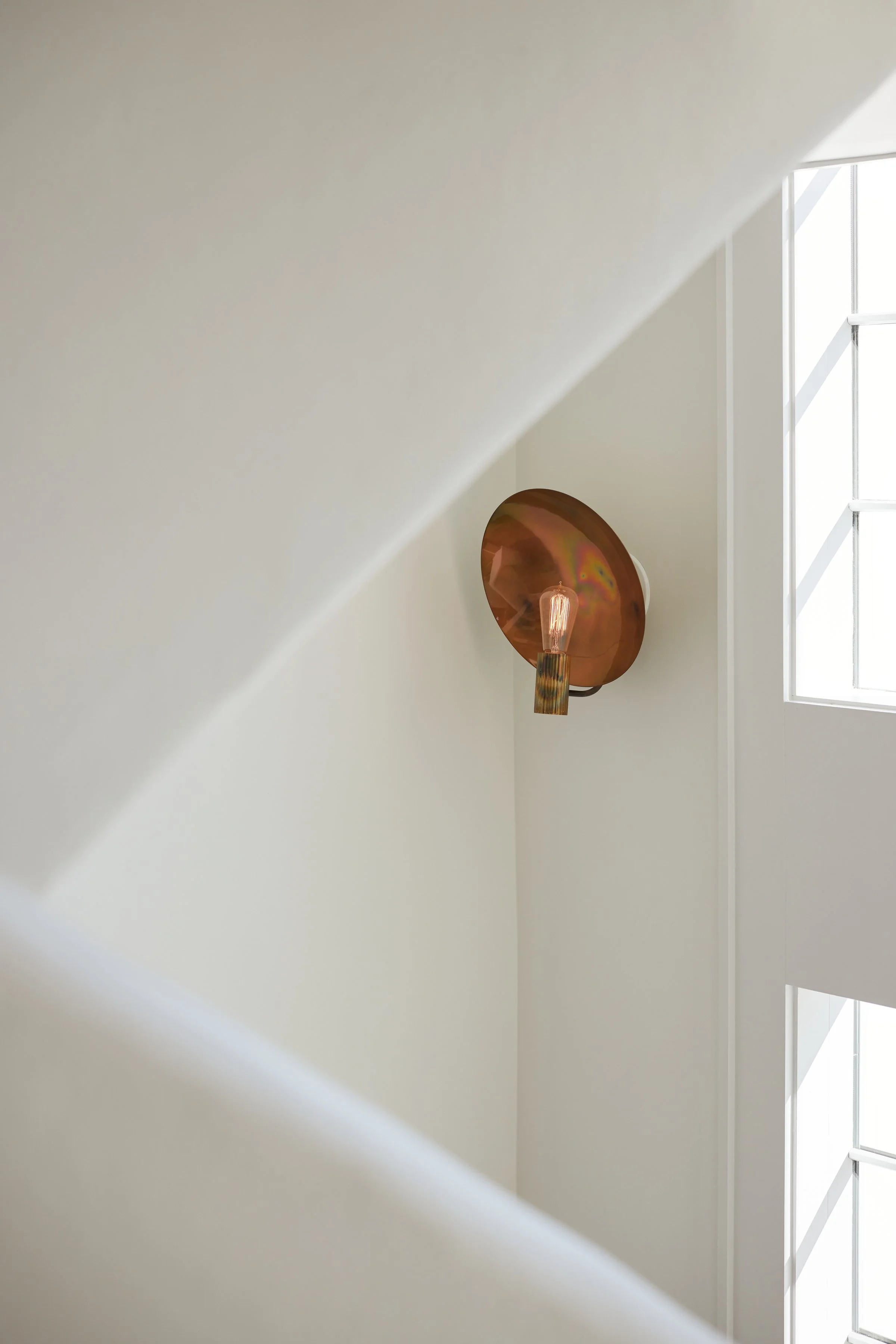 240325_OSPREY_(glenallsop)_075 copy.JPG