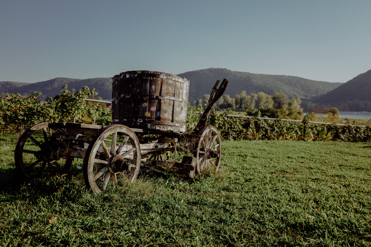 AlterKlosterkeller_outdoor_web_2018_©PavillonStudio-1380844.jpg