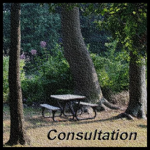 Consultation.jpg