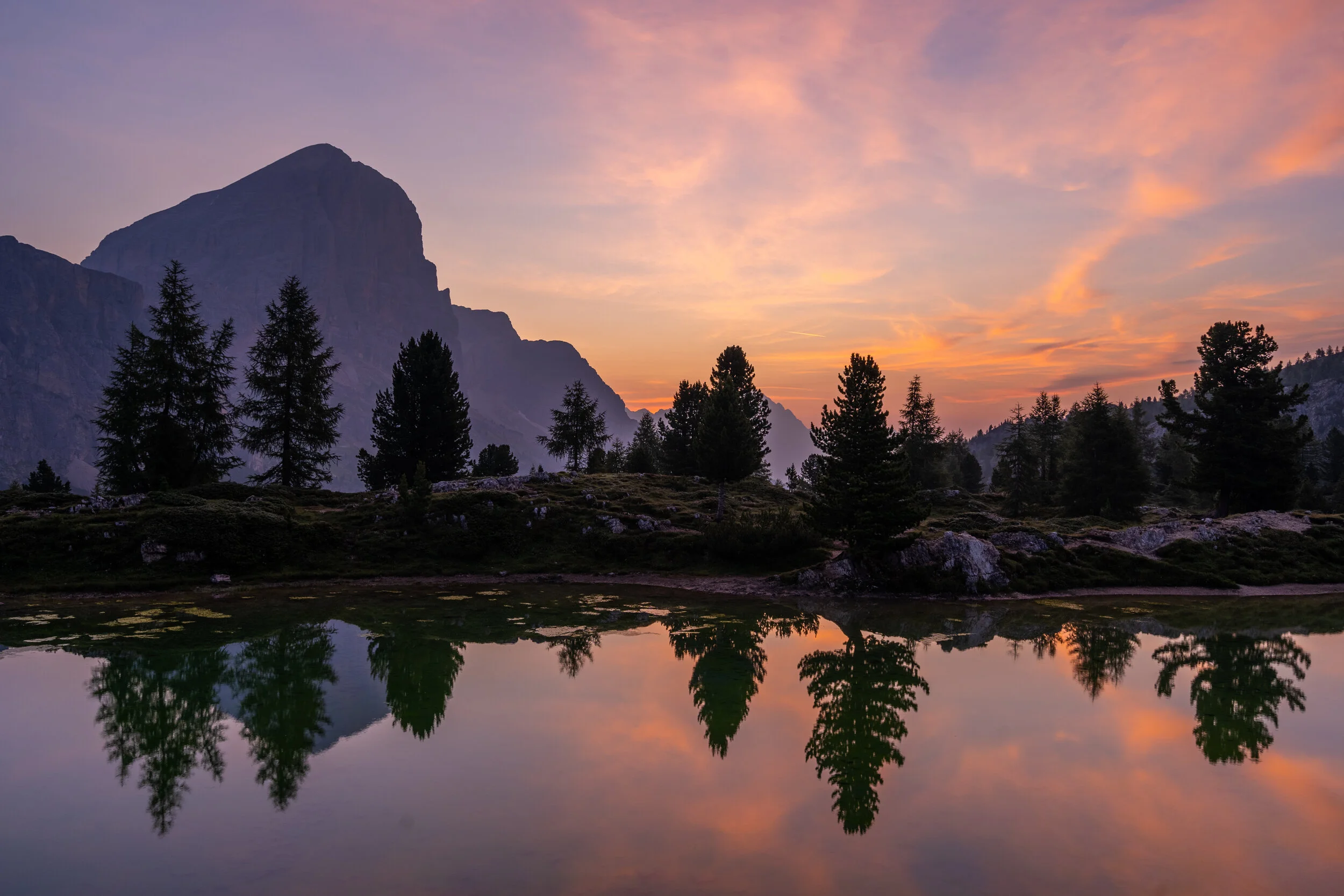 dawn reflection.jpg
