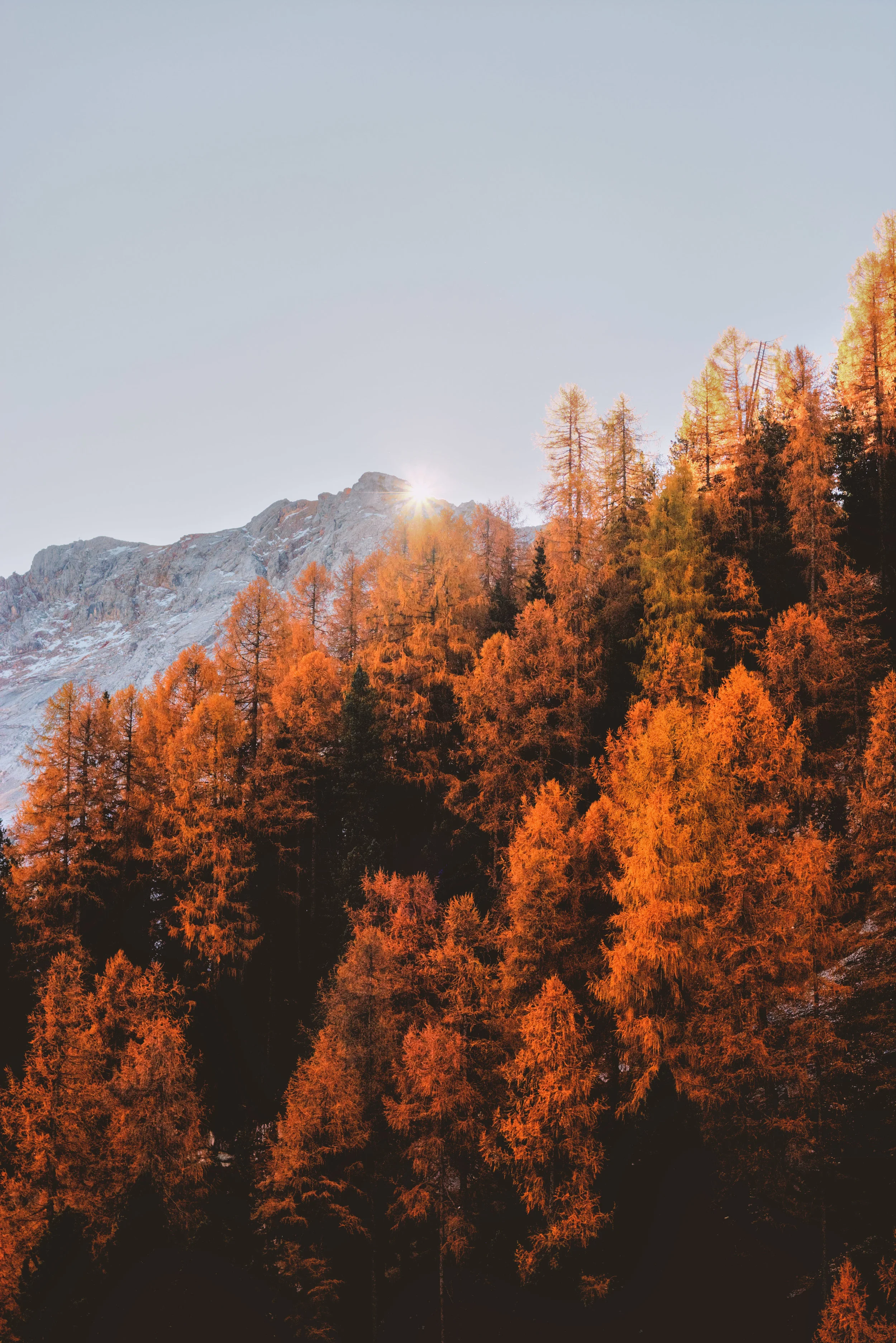5 Places to see the fall foliage