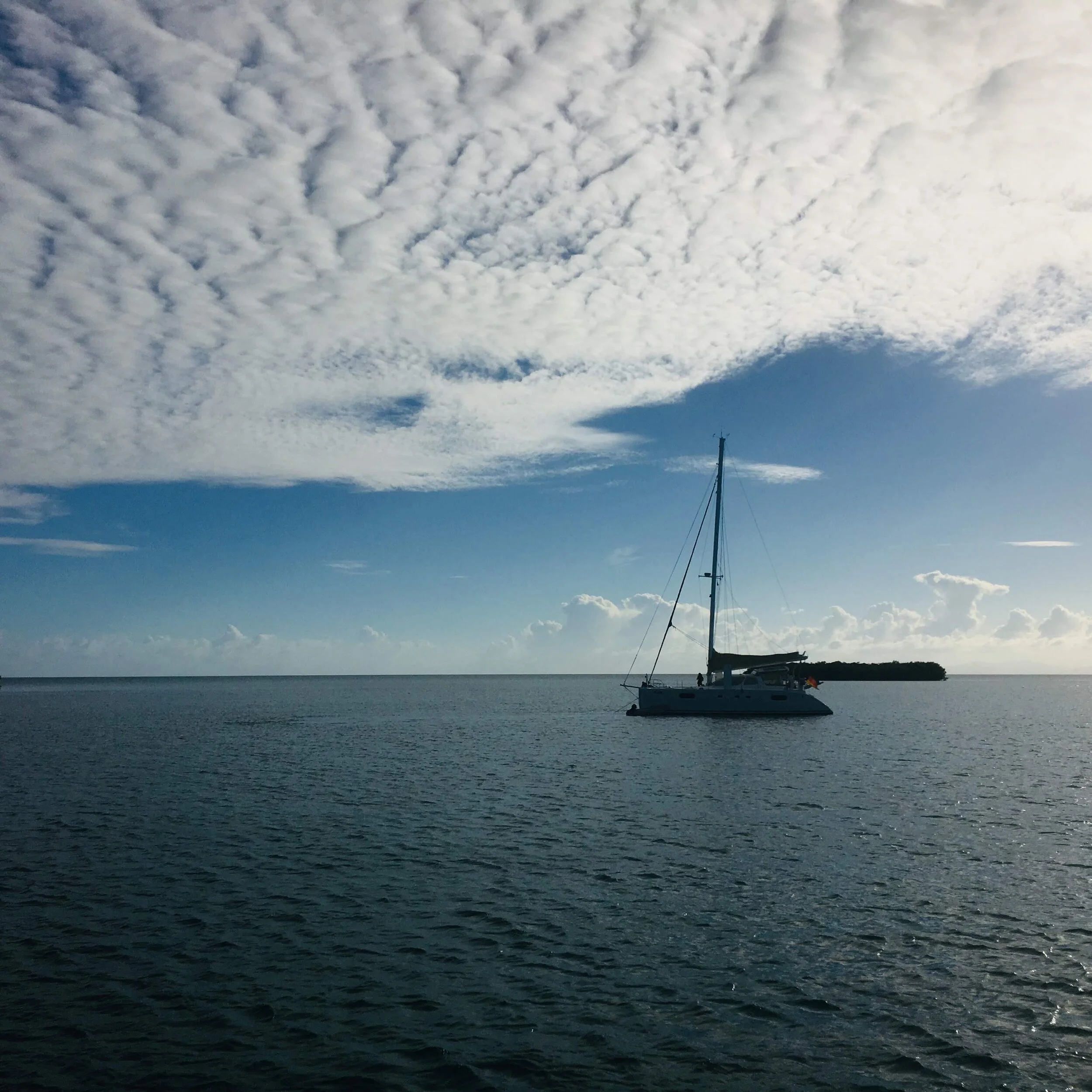 Our Favorite Moments of 2019