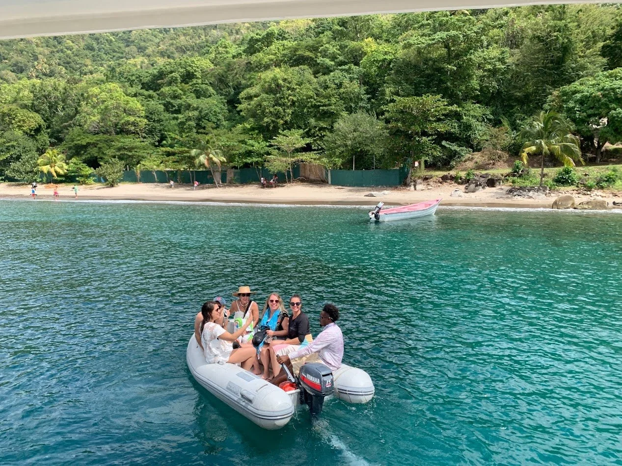 The year we started traveling again