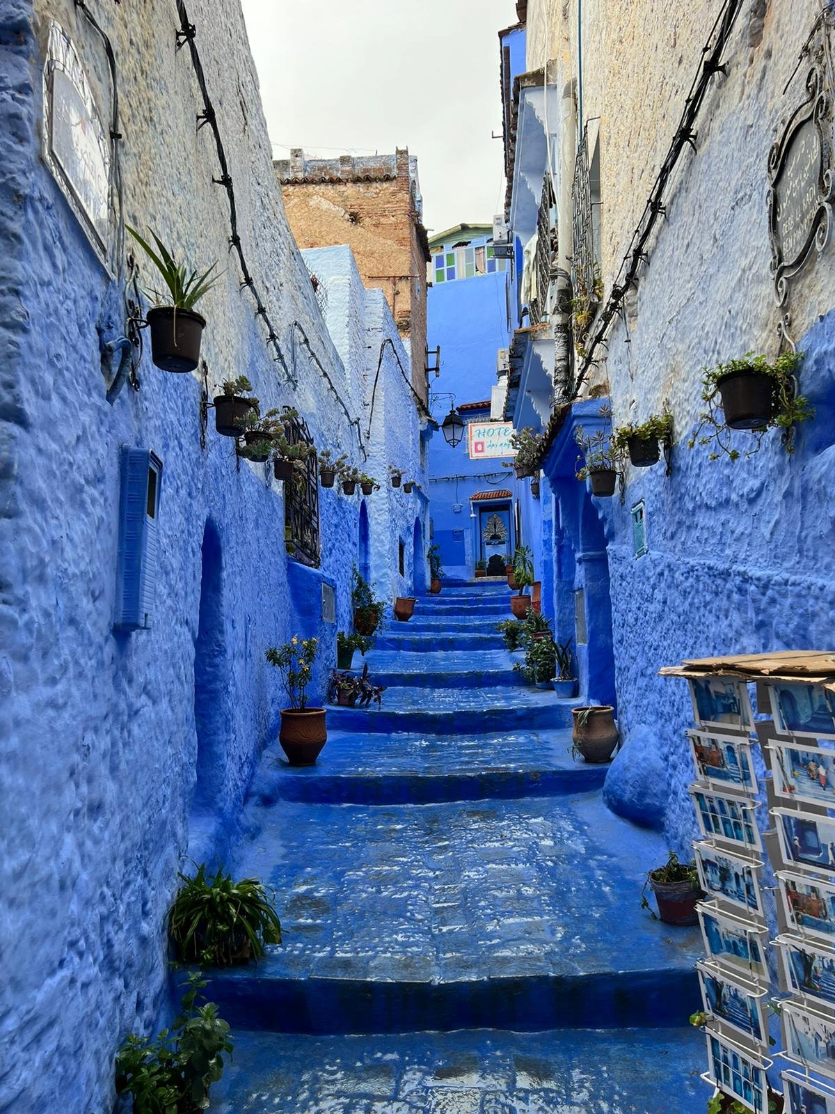 An Unforgettable Morocco Group Trip with Limitless Planet
