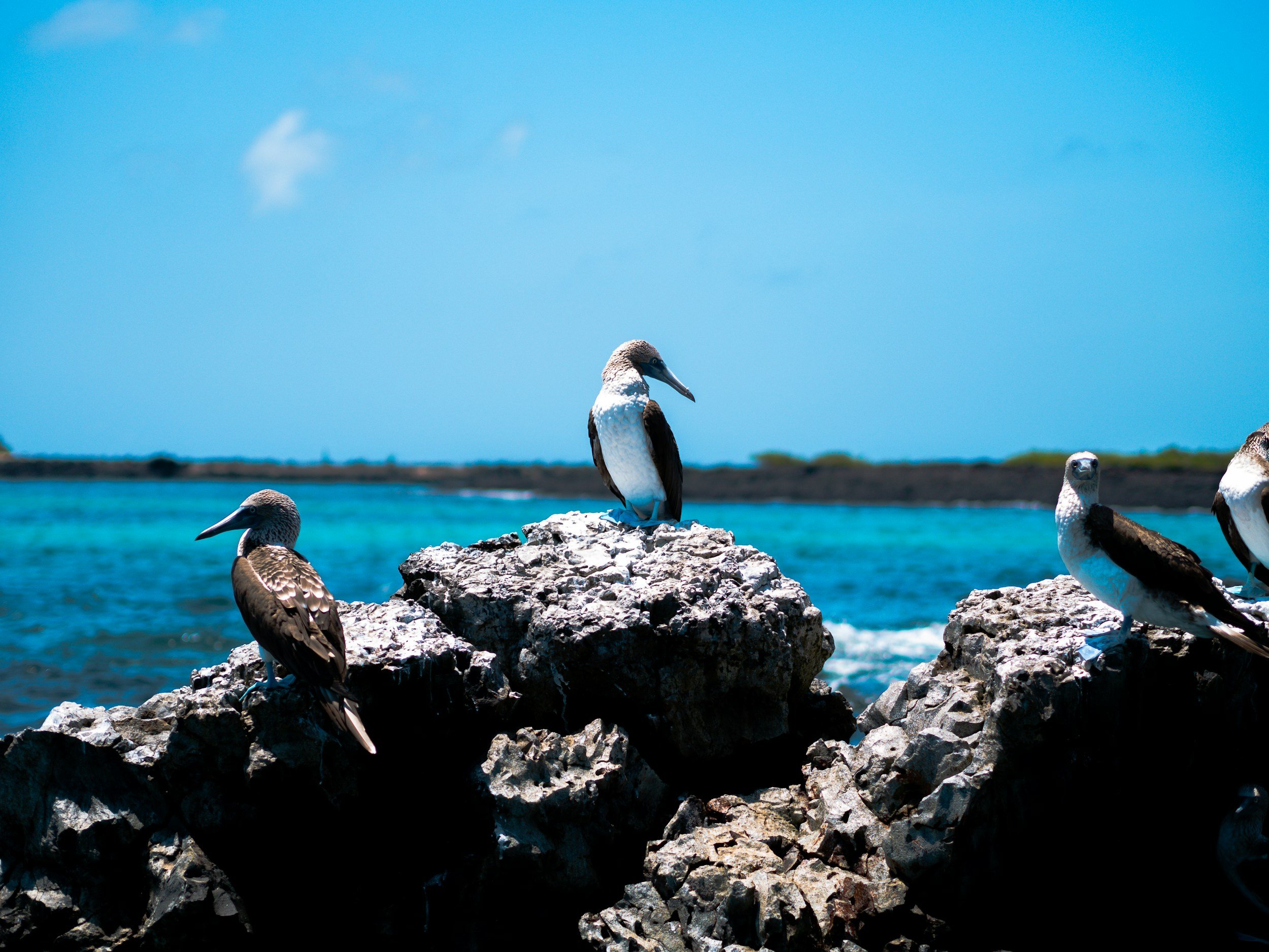 unsplash-image-vANc3E-NcRU.jpg