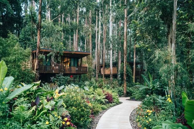 5 of the Top Michelin Hotels for 2026 We Can't Wait to Send Clients To