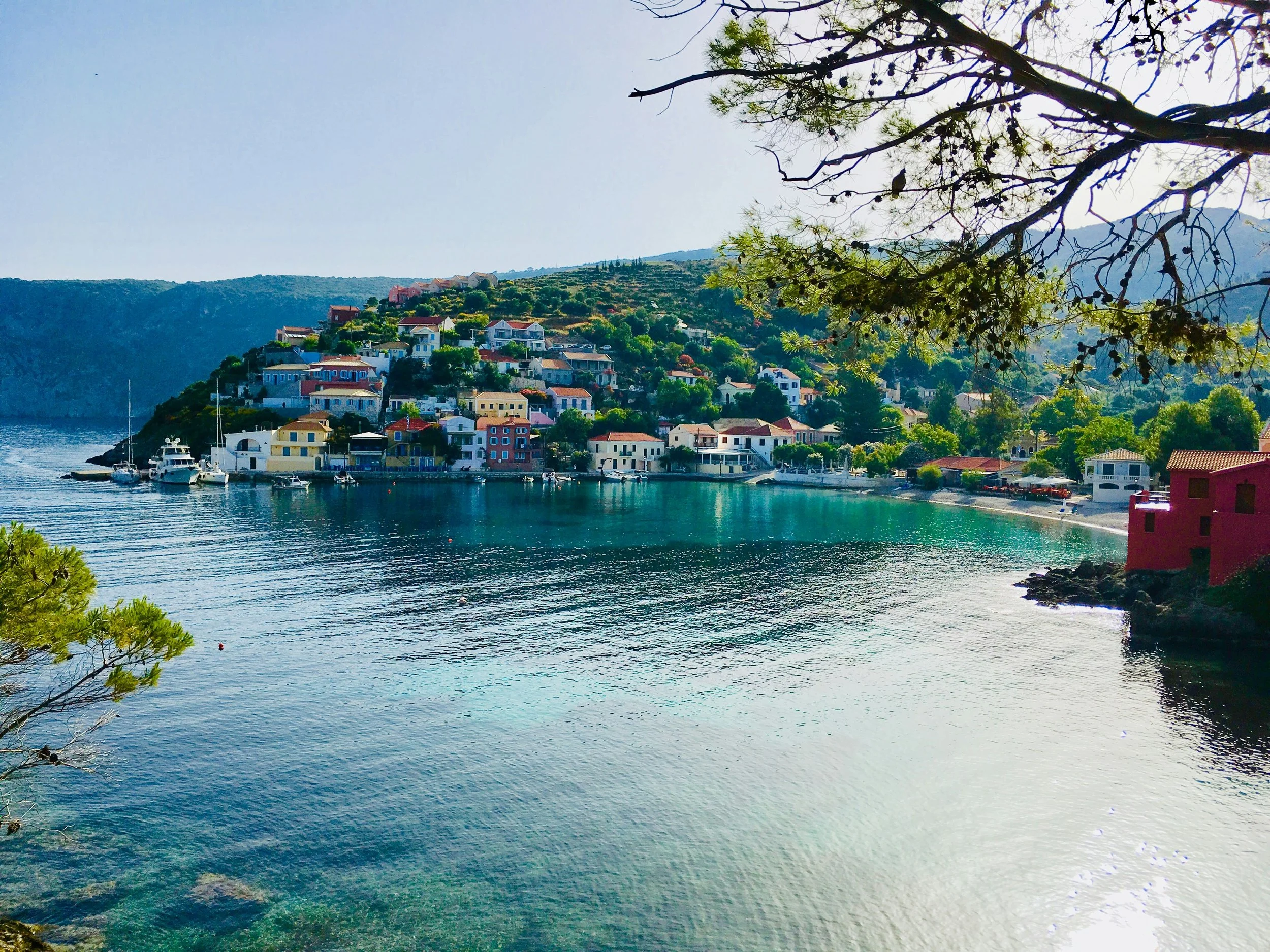 Coastal hillside with colorful houses, boats in the water, and a tree branch in the foreground.