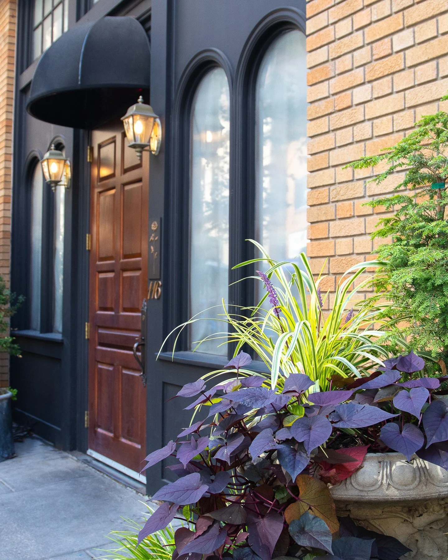 The rose caught your eye &mdash; and just like that, your night begins at Alpen Rose 🌹