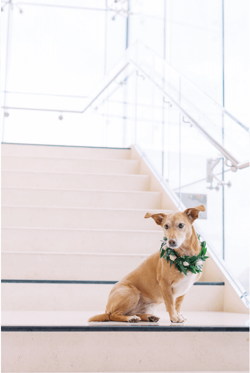 Rochelle Maples Photography