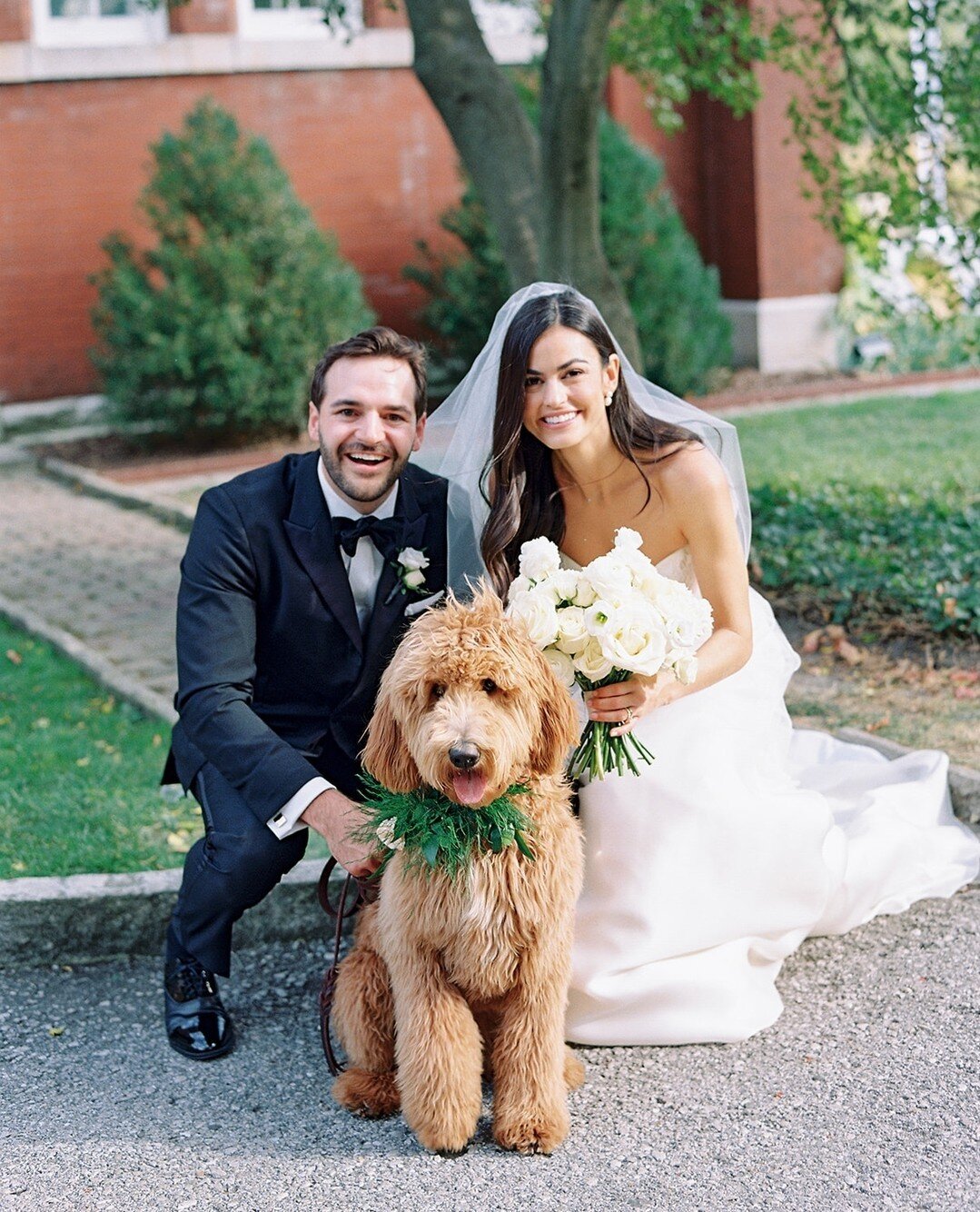 Even the furriest family members need florals to complete their wedding day look! 🐶⁠ Do you have plans to include your pup in your special day?⁠
⁠
Photo: @nataliebrayphoto