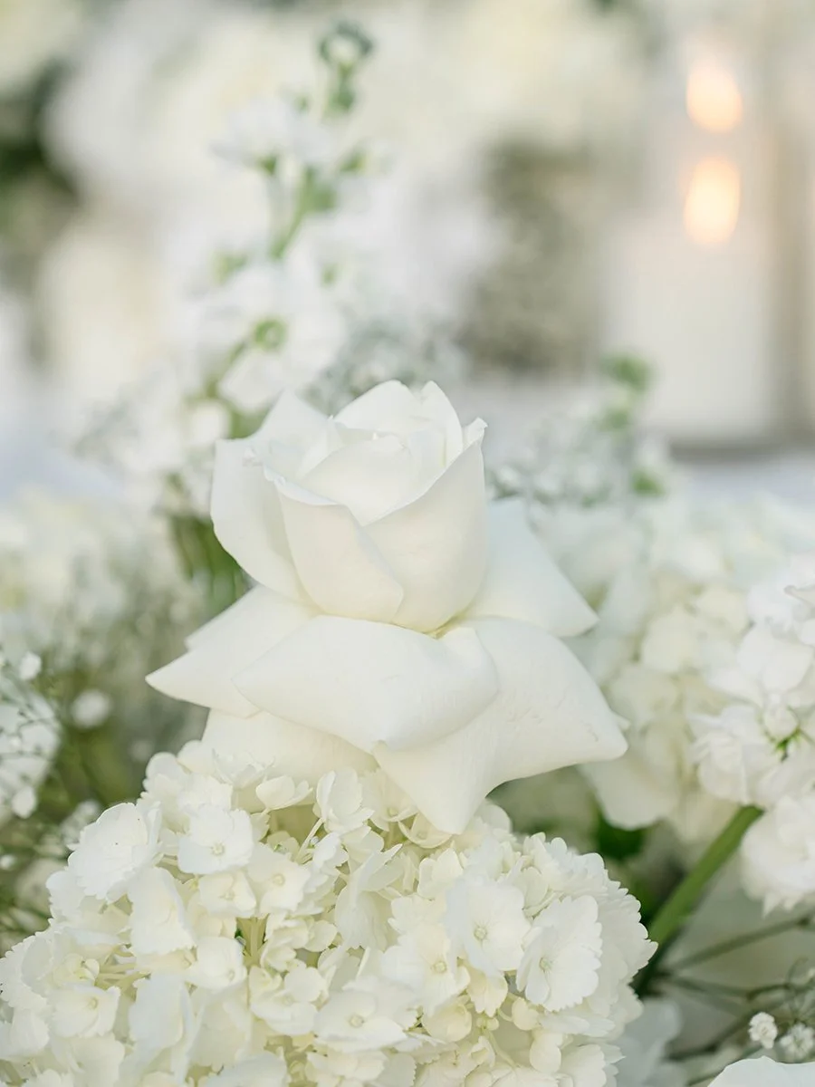 White flexed rose as part of a white flower meadow for wedding ceremony at the Gatsby Events Venue in St. Louis.