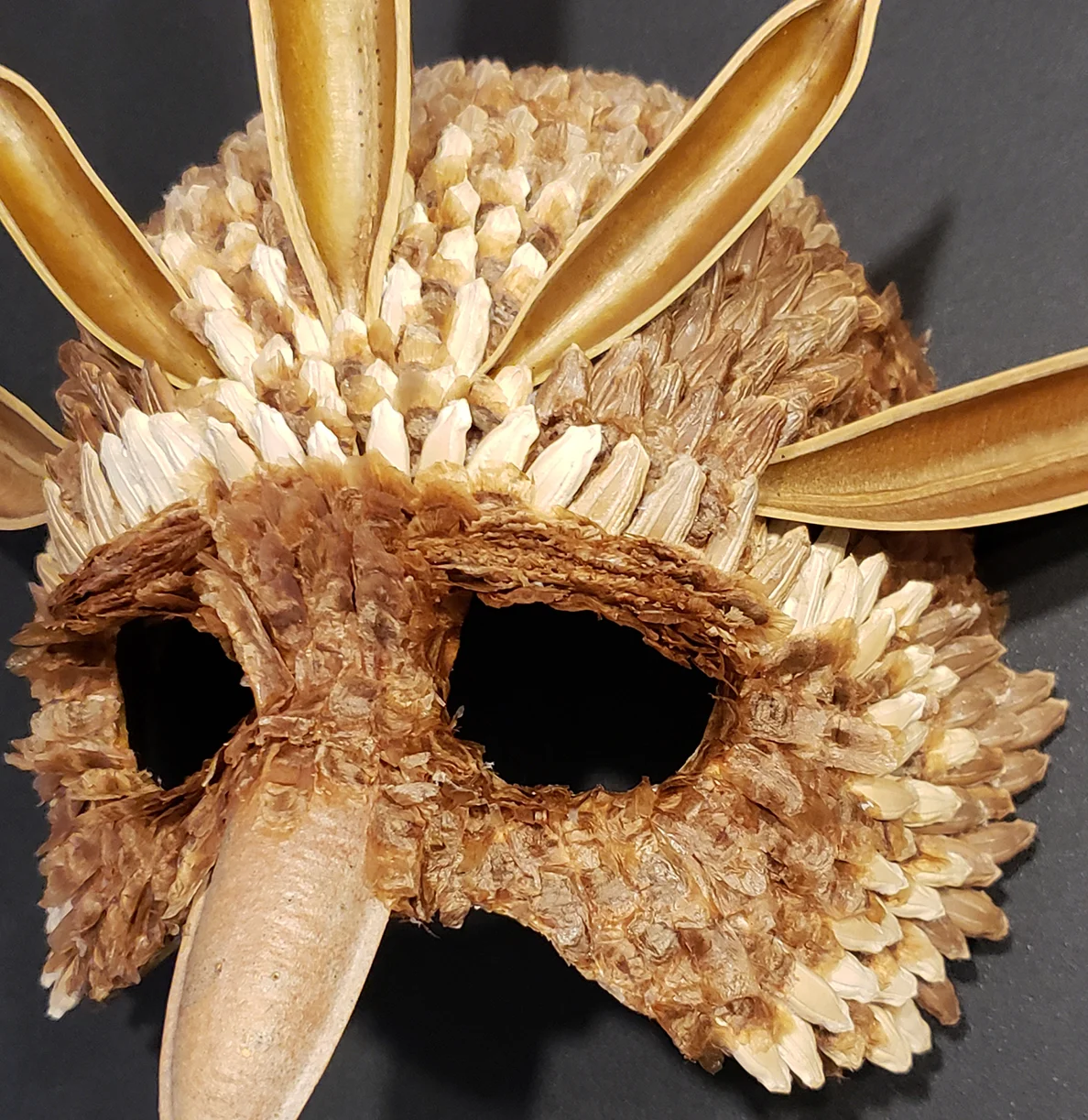 King bird side close 2 copy.jpg