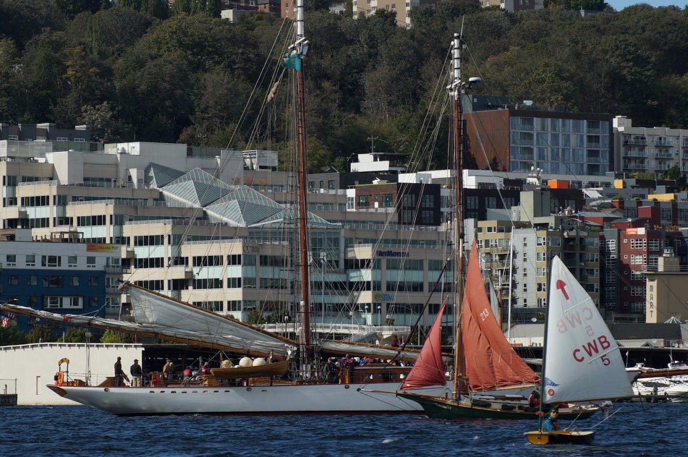 The Lake Union Wooden Boat Festival — The Center for Wooden Boats