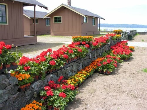 View-of-Cama-beach-cabins-with-flowers-lining-a-wall.jpg