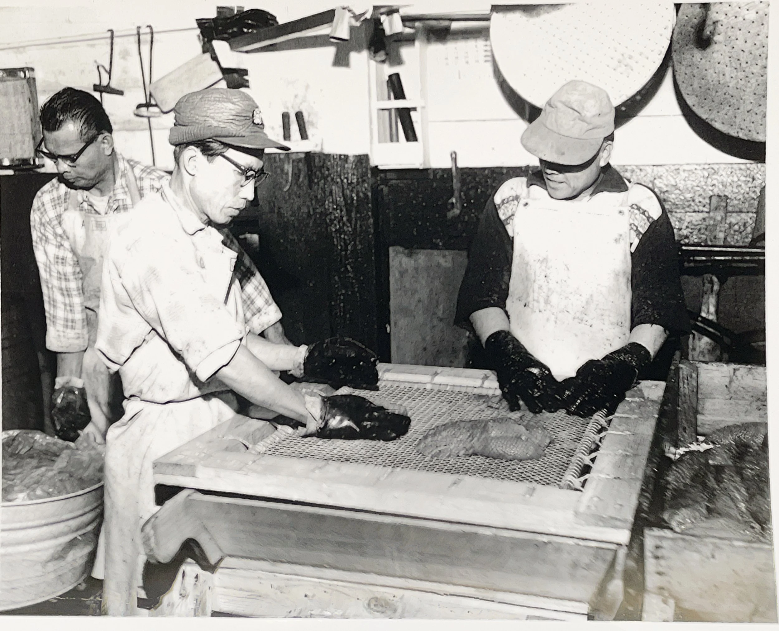 Angel Quintero processes fish on the Seattle waterfront, 1960s.jpeg
